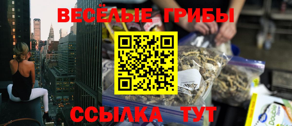 Псилоцибиновые грибы Magic Shrooms Ачхой-Мартан